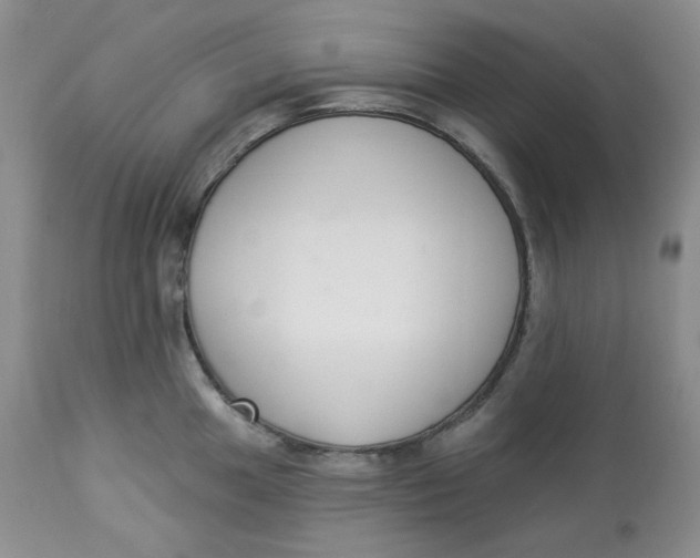 X0000112861049200909111504