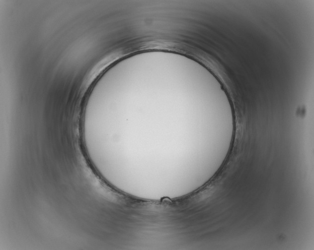 X0000112861050200909111504