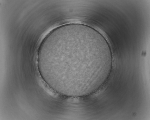 X0000112861051200909111504