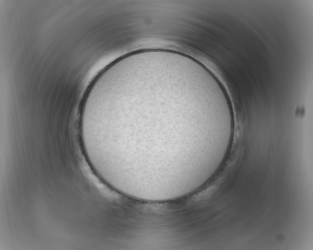 X0000112861053200909111504