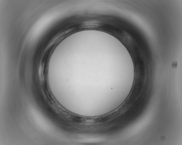 X0000112861054200909111504