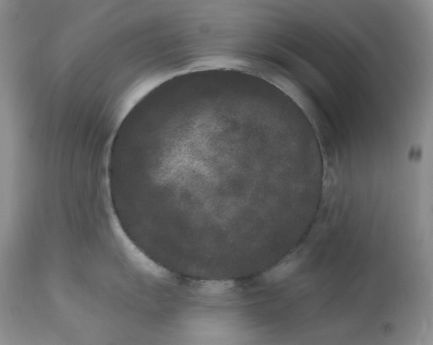 X0000112861055200909111504