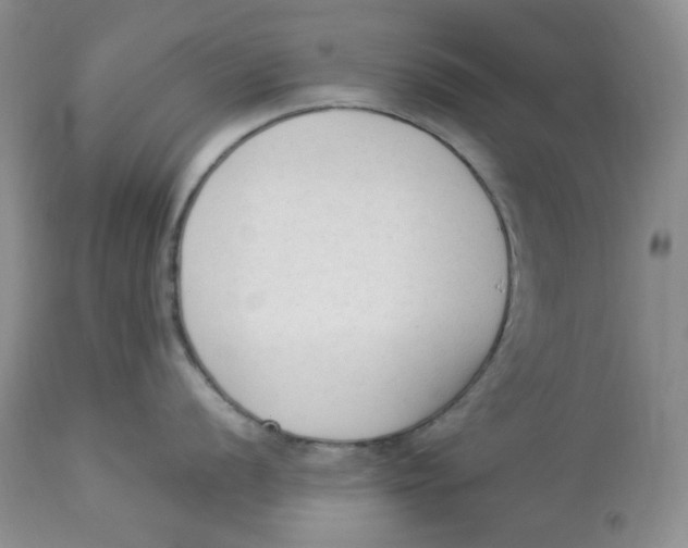 X0000112861056200909111504