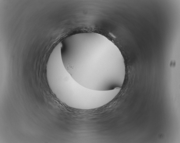 X0000112861057200909111503