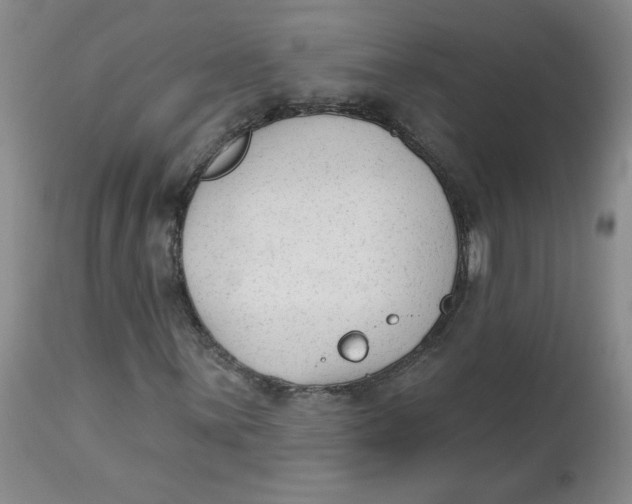 X0000112861059200909111503