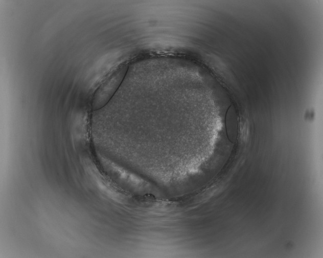 X0000112861060200909111503