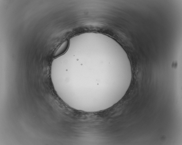 X0000112861061200909111503