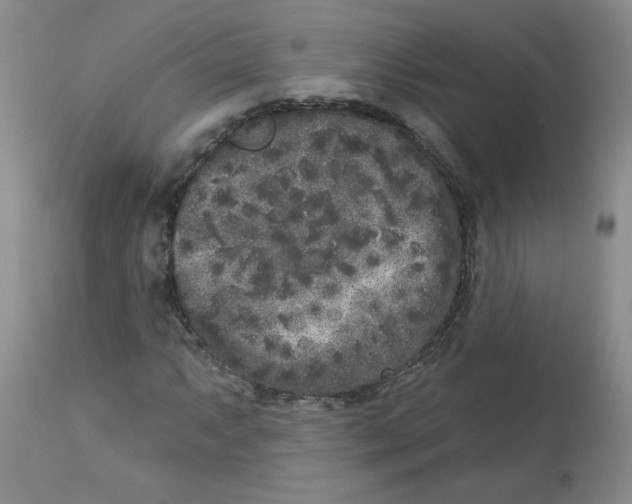 X0000112861063200909111503