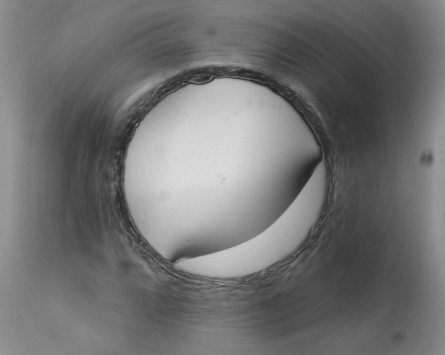 X0000112861064200909111503