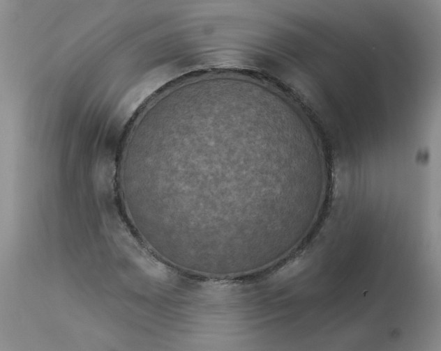 X0000112861065200909111503