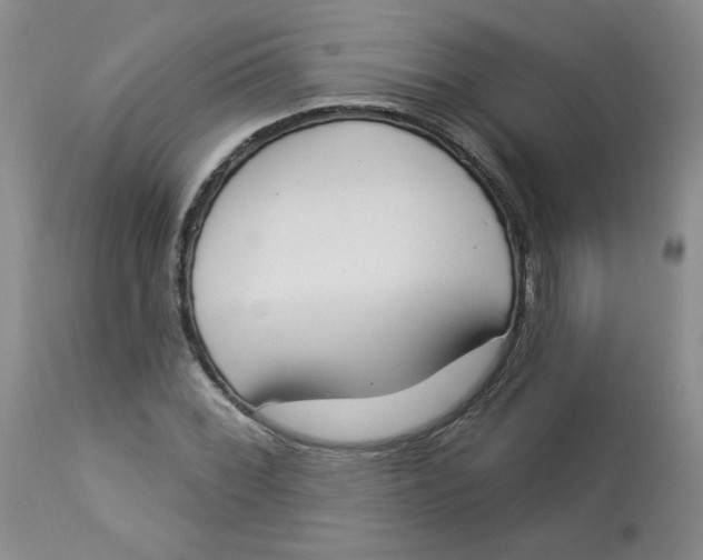 X0000112861068200909111503