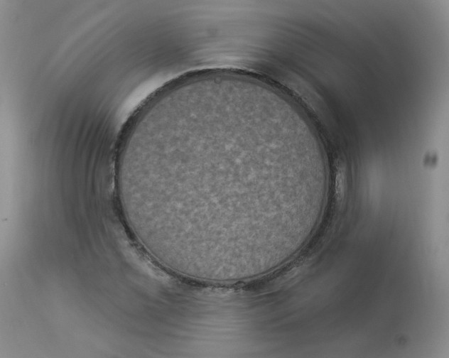 X0000112861069200909111503