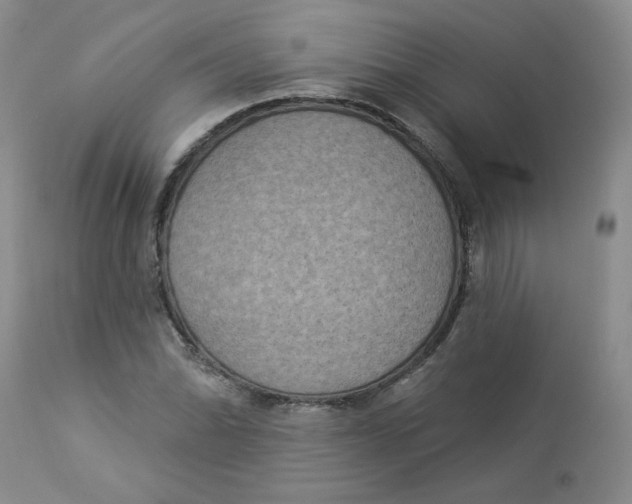 X0000112861070200909111503