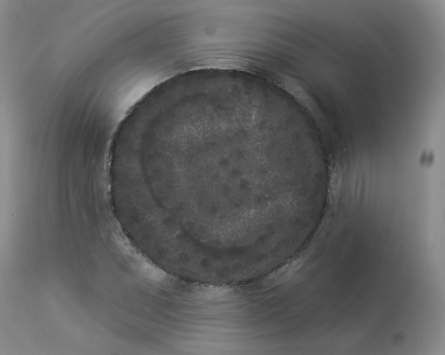 X0000112861071200909111503