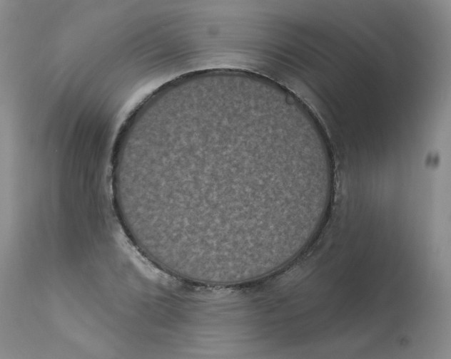 X0000112861072200909111503