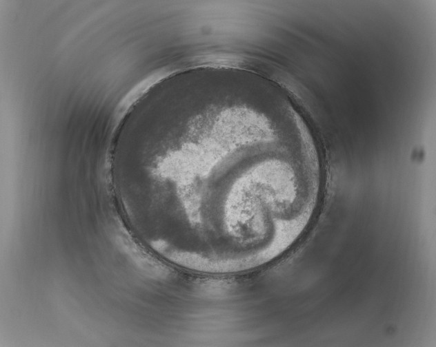 X0000112861074200909111503