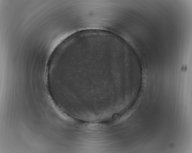 X0000112861077200909111503