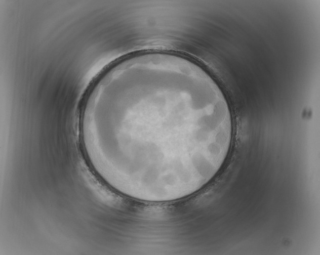 X0000112861078200909111503