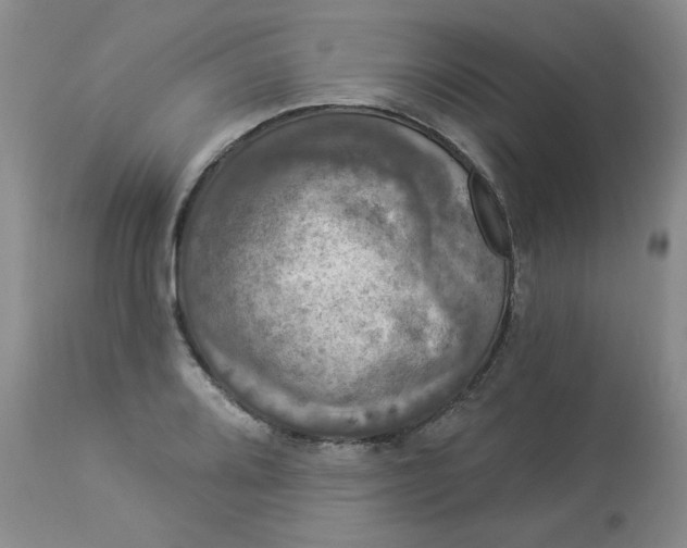 X0000112861080200909111503