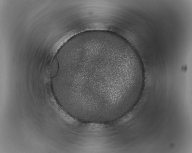 X0000112861081200909111503