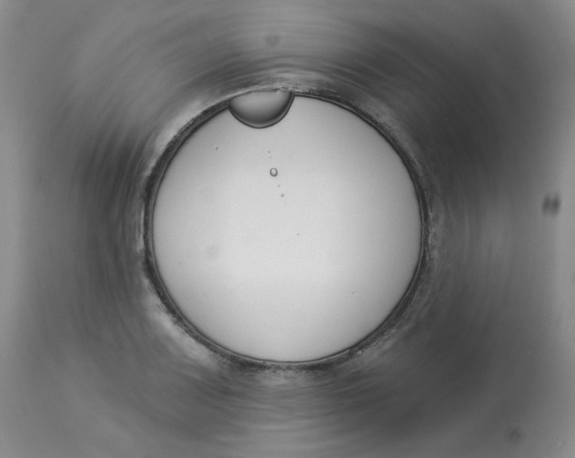 X0000112861083200909111503