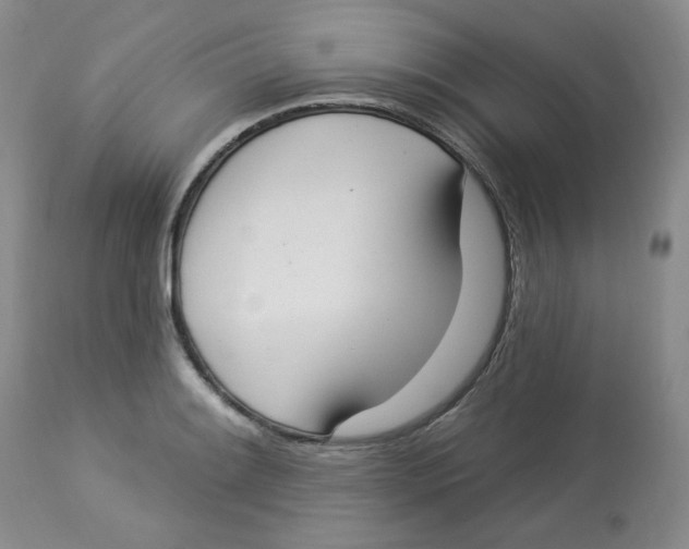 X0000112861084200909111503