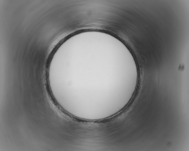 X0000112861085200909111503