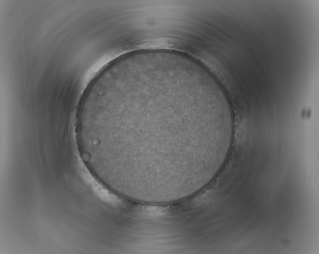 X0000112861086200909111503