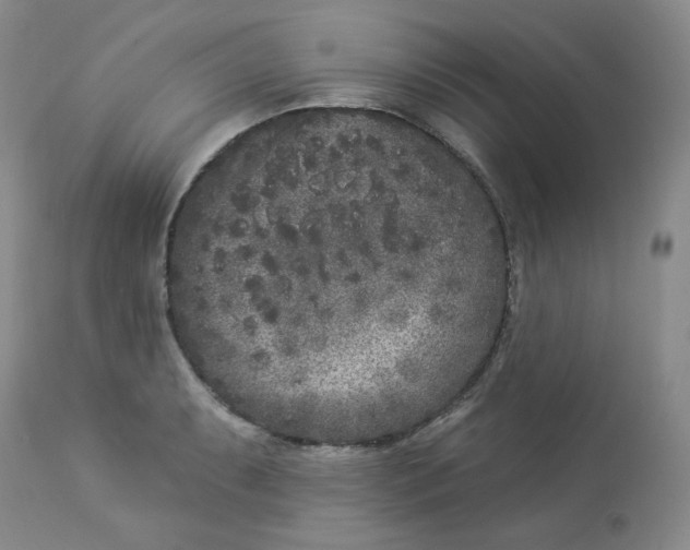 X0000112861087200909111503