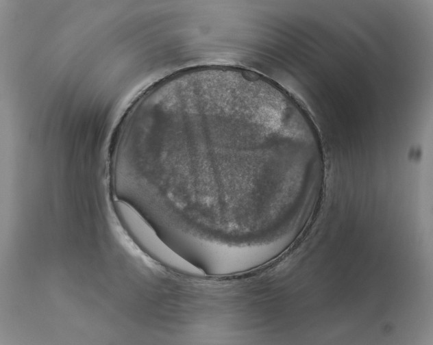 X0000112861088200909111503