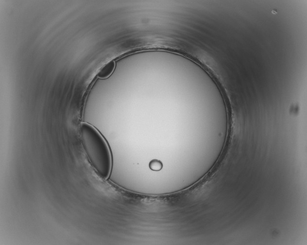 X0000112861089200909111503