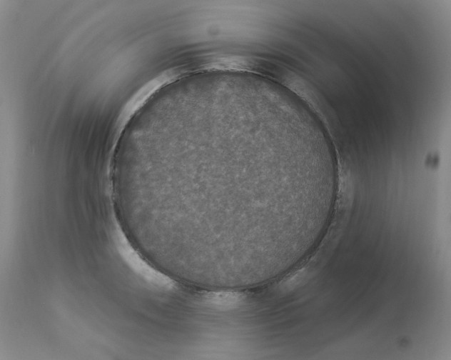 X0000112861090200909111503