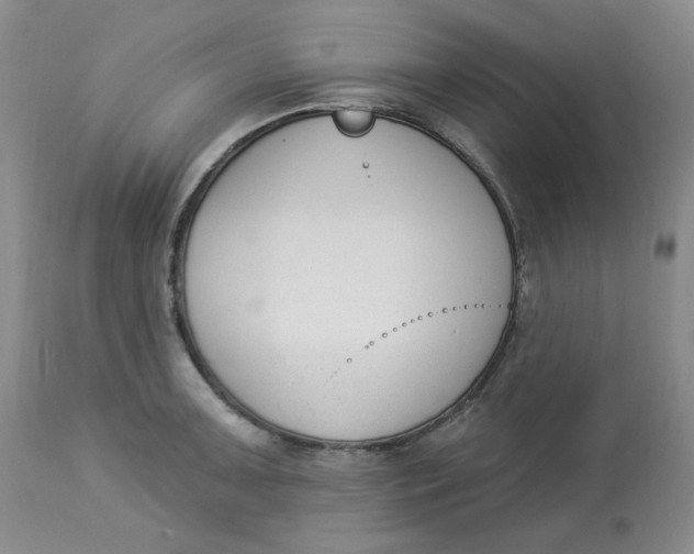 X0000112861091200909111503