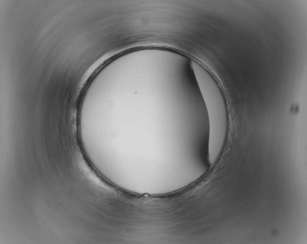 X0000112861092200909111503