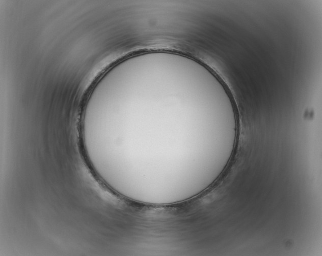 X0000112861093200909111503