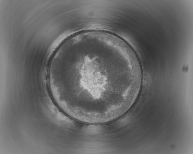 X0000112861094200909111503