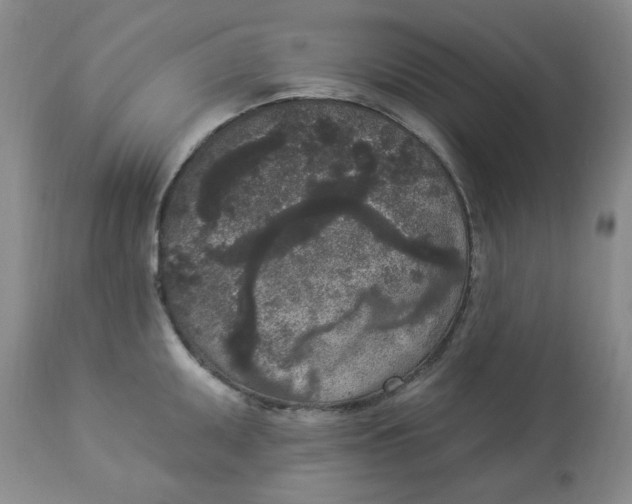 X0000112861095200909111503