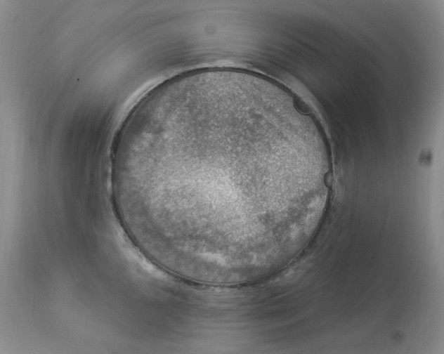 X0000112861096200909111503