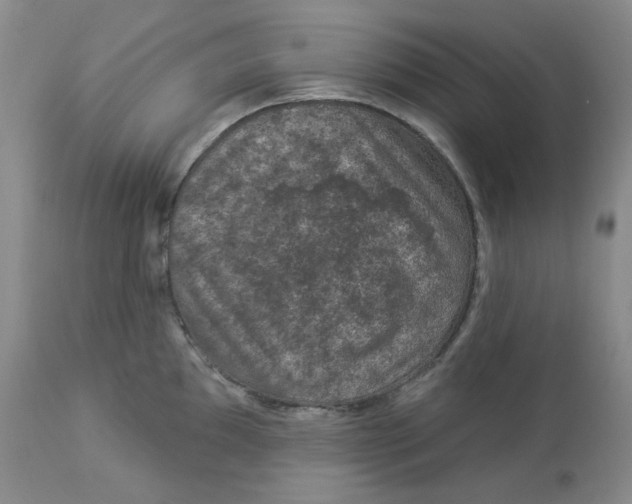 X0000112861097200909111503