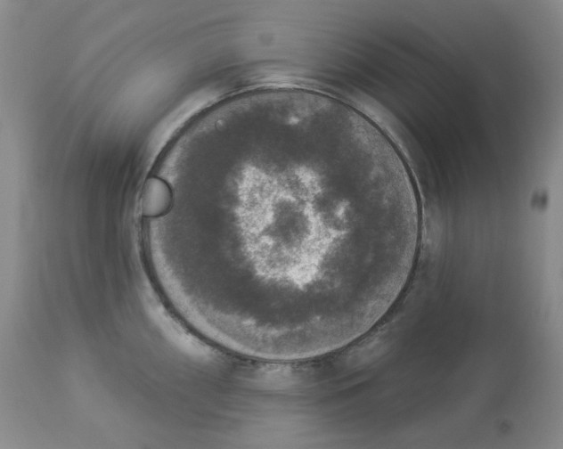 X0000112861098200909111503