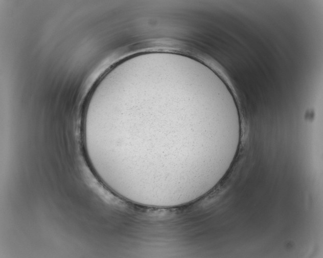 X0000112861099200909111503