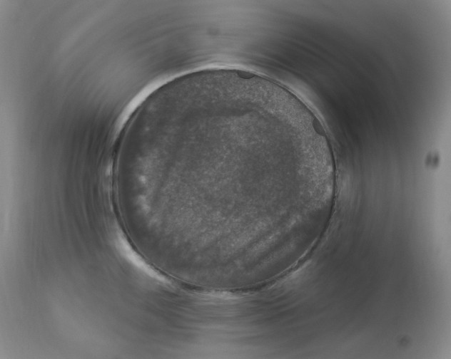 X0000112861100200909111503