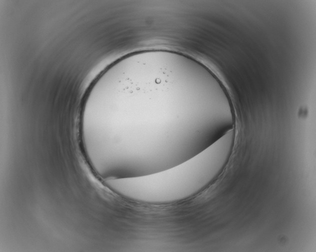 X0000112861101200909111503