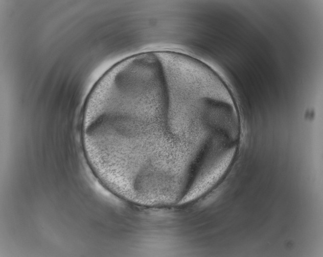 X0000112861102200909111503