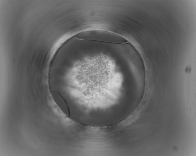 X0000112861104200909111503