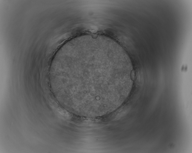 X0000112861105200909111502