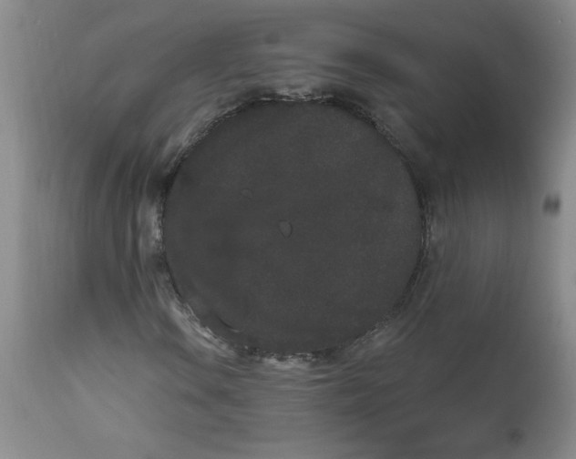 X0000112861106200909111502