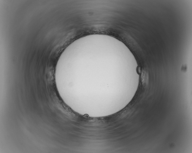 X0000112861107200909111502