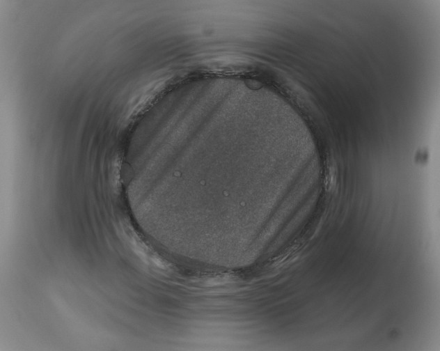 X0000112861108200909111502