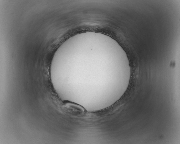 X0000112861109200909111502